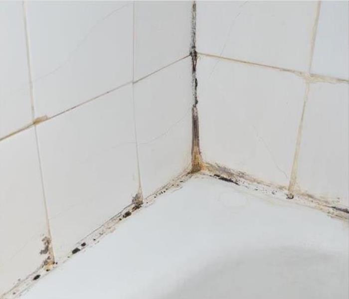 tile with mold