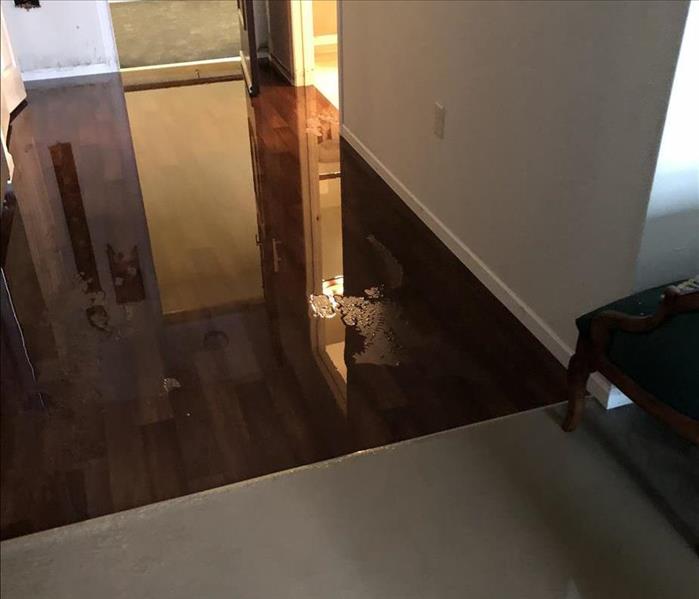 pooling water on hardwood flooring and carpeted area of home