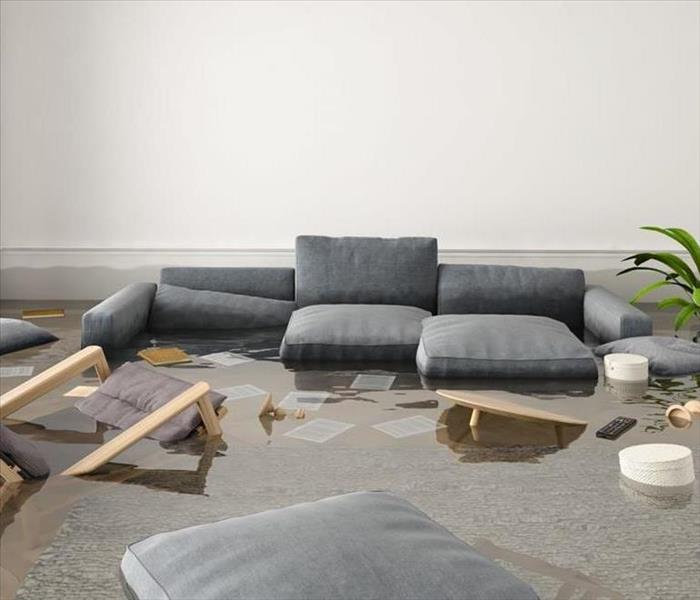 living room with knee deep water